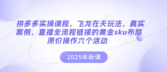 拼多多实操课程，飞龙在天玩法，真实案例，直播全流程链接的黄金sku布局原价操作六个活动-轻创工坊