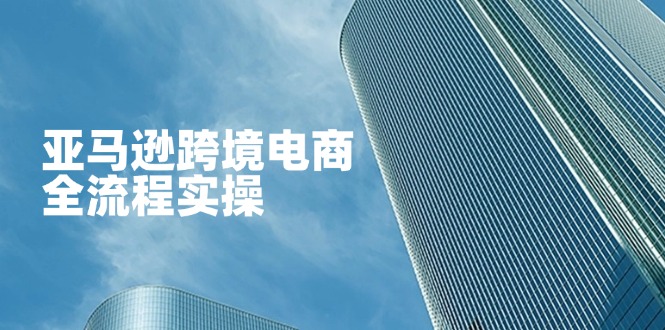 （14252期）亚马逊跨境电商全流程实操，教你从零开始，掌握店铺运营与广告技巧-轻创工坊