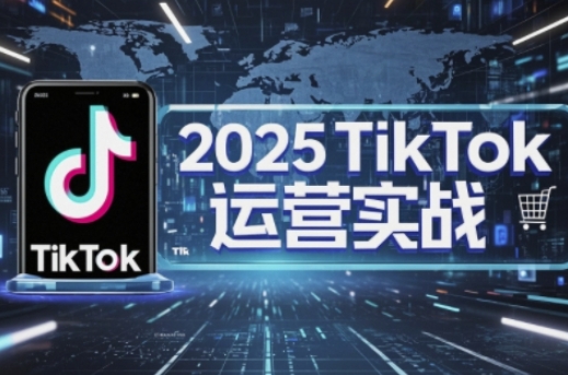 2025TikTok电商运营,掌握TikTok店铺运营核心技巧,实现低成本高转化-轻创工坊