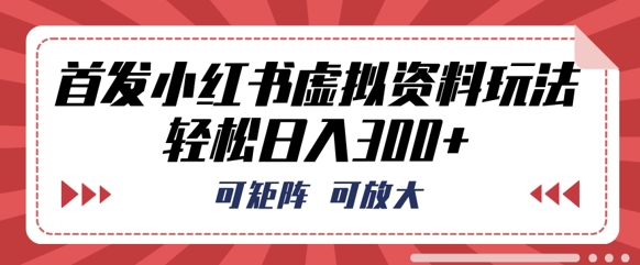 首发小红书虚拟资料玩法，可矩阵，可放大，轻松日入3张-轻创工坊