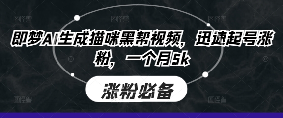 即梦AI生成猫咪黑帮视频，迅速起号涨粉，一个月5k-轻创工坊