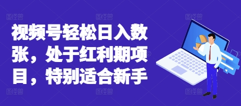 视频号轻松日入数张，处于红利期项目，特别适合新手-轻创工坊