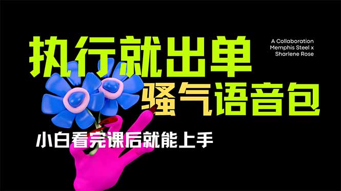 （14170期）爆火全网的开车导航骚气语音包,只要执行就出单，小白看完课程就能实操...-轻创工坊