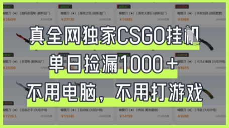 真全网独家CSGO挂G，单日捡漏1k+【揭秘】-轻创工坊