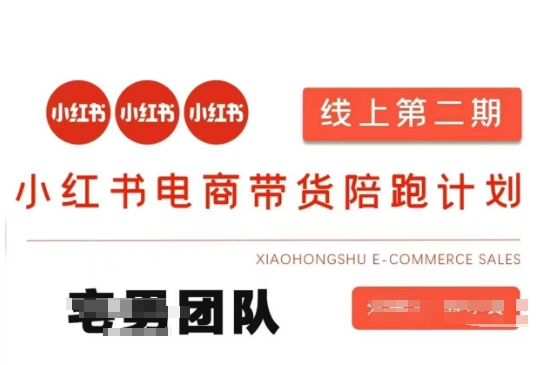 小红书电商带货课2期，月利润20个的小红书电商的有货源，无货源，虚拟产品，付费投流等整套玩法-轻创工坊